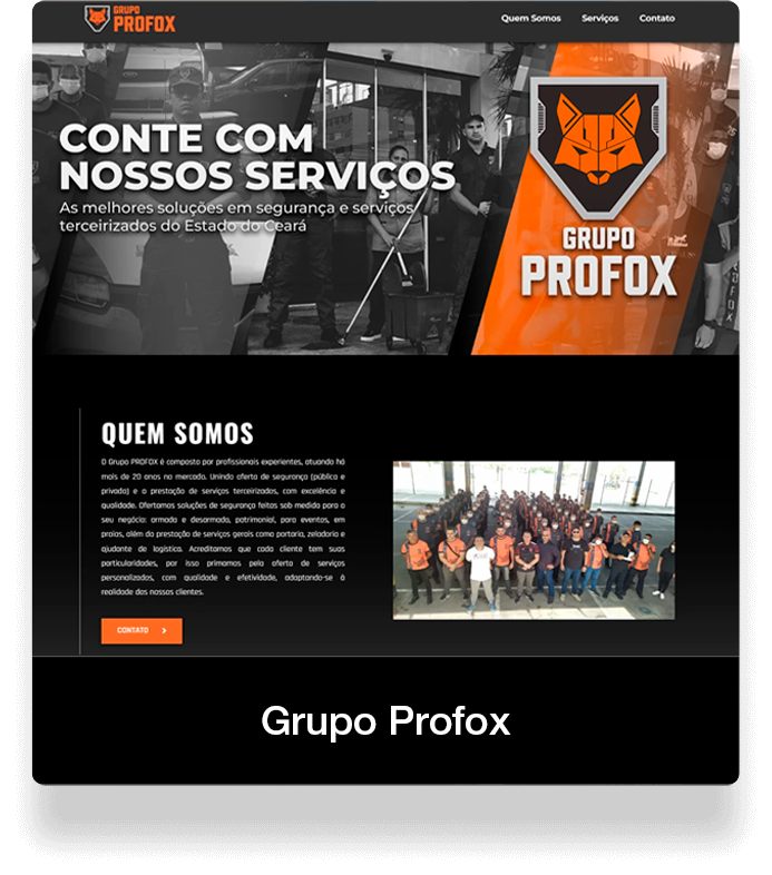 portfolio-profox1
